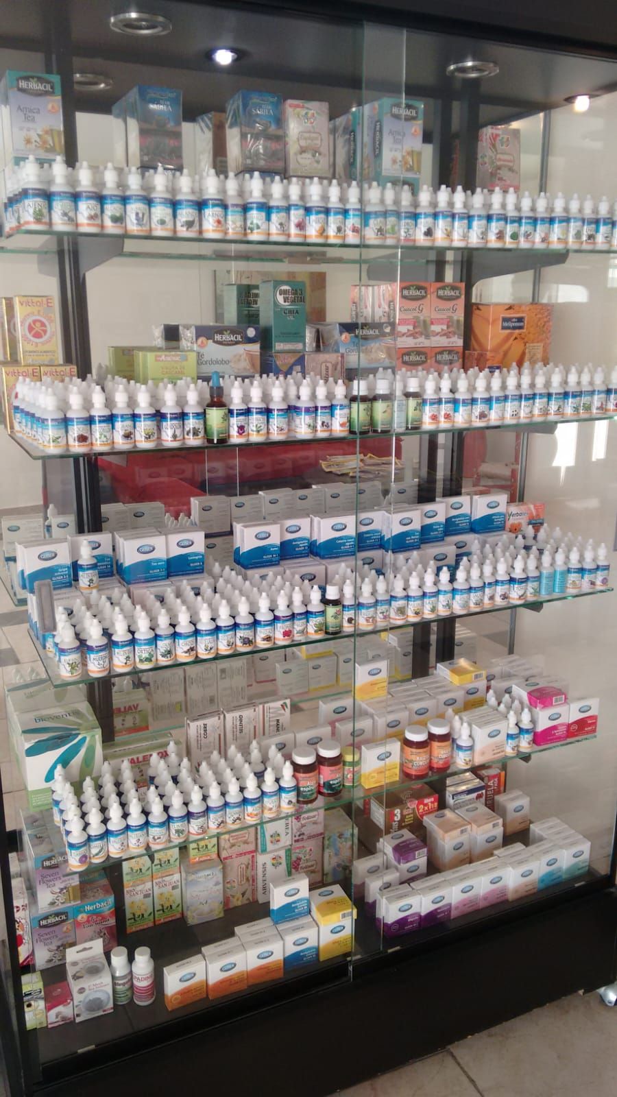 Elena Kostoglodova-4