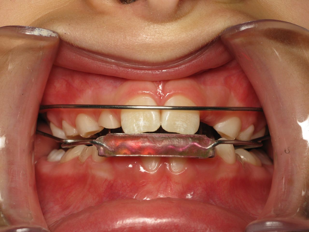 Adriana Alejandra Rodriguez Carrillo-15