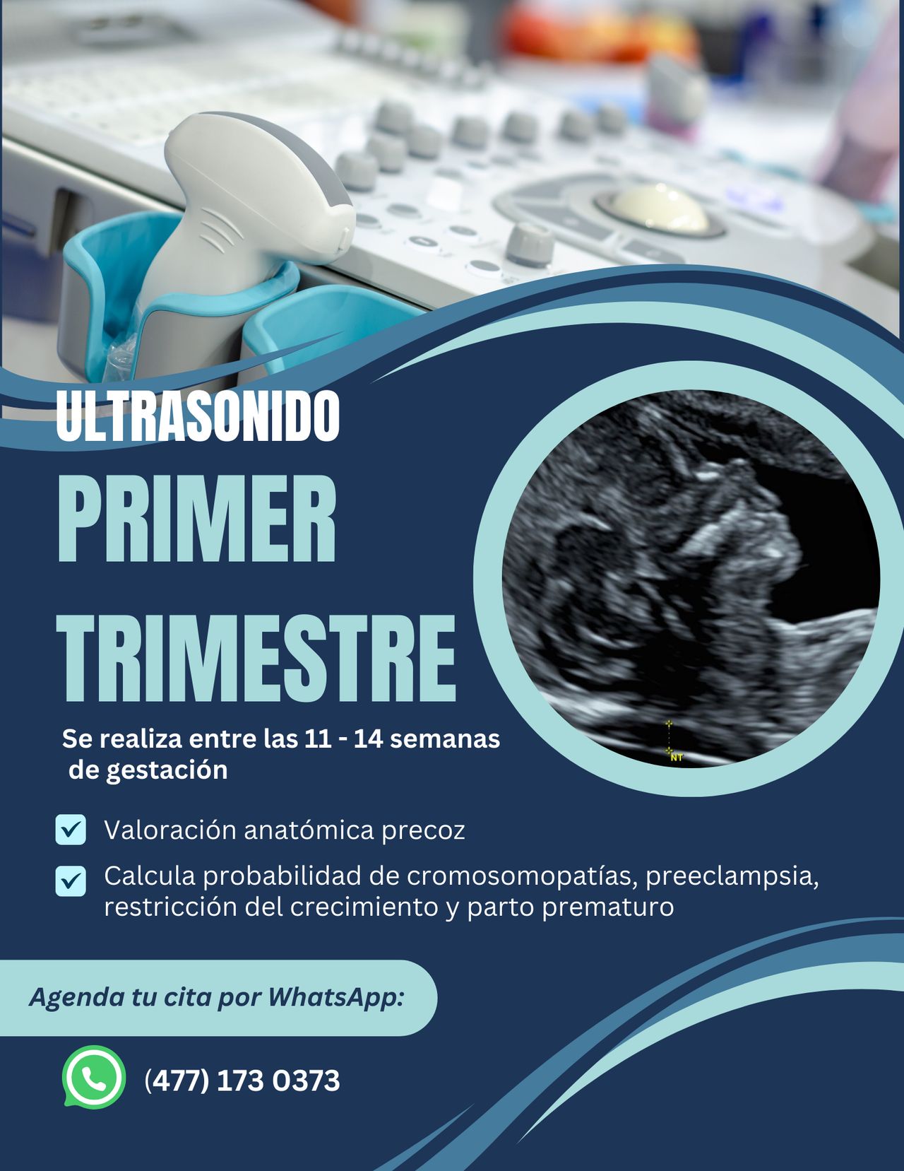 Fernando Nieto Landeros-1