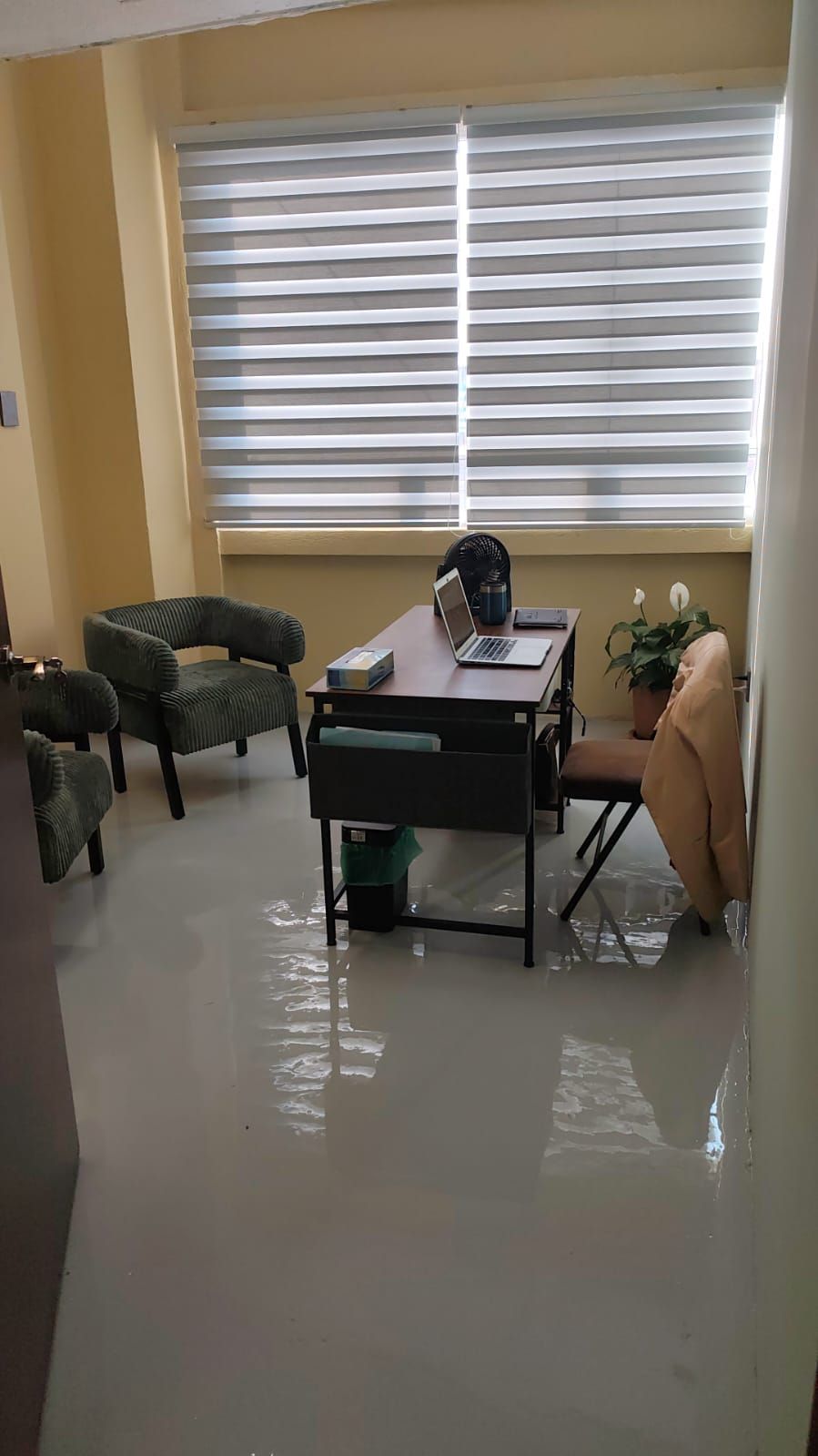 Adriana Romero González-1