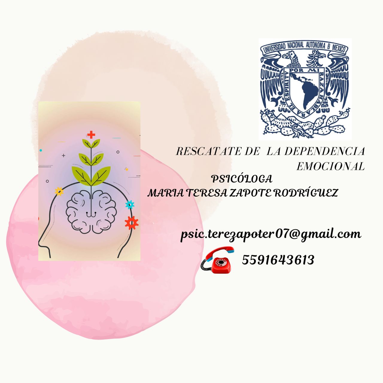 María Teresa Zapote Rodríguez-2