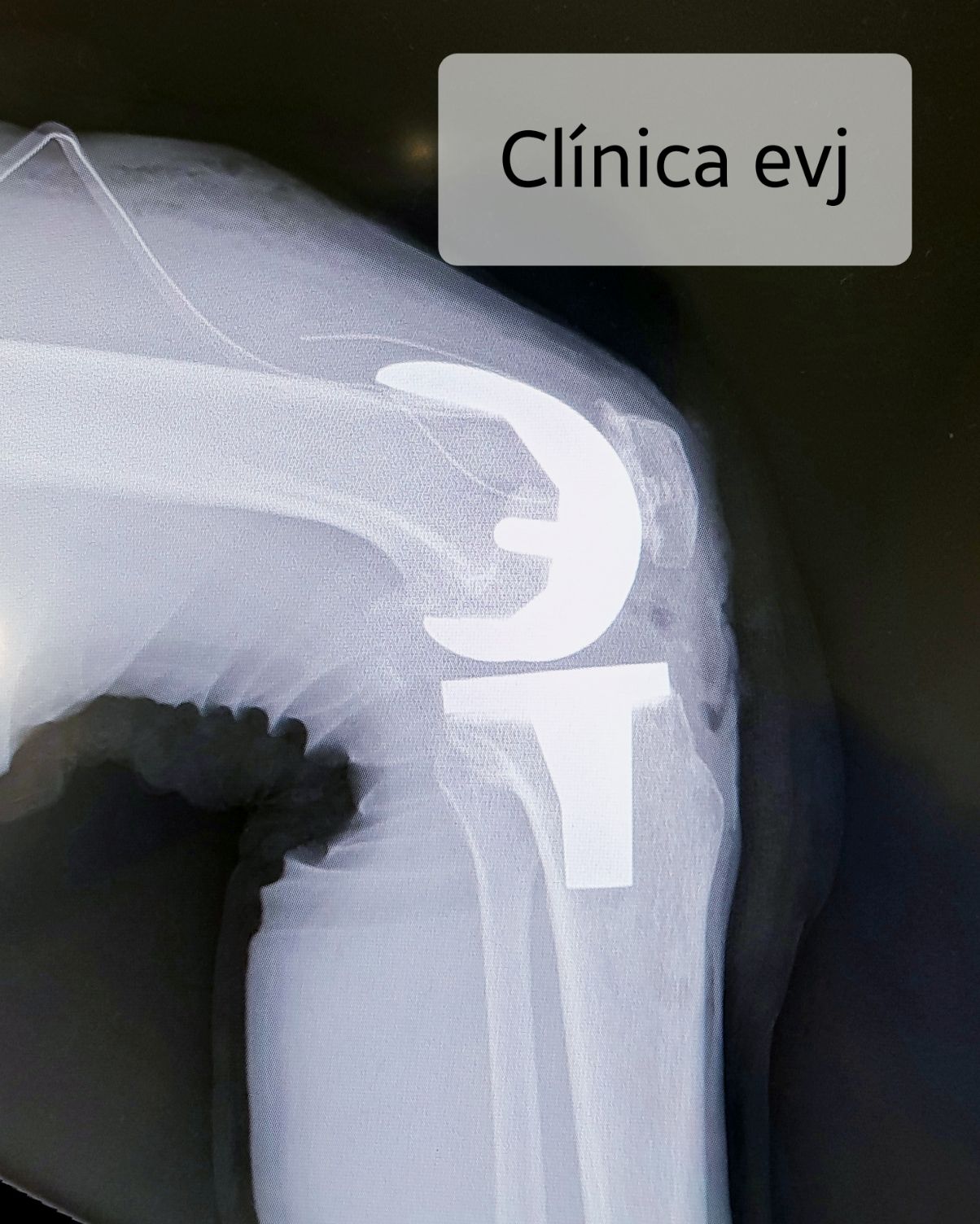 José Emmanuel Vargas Jasso-26