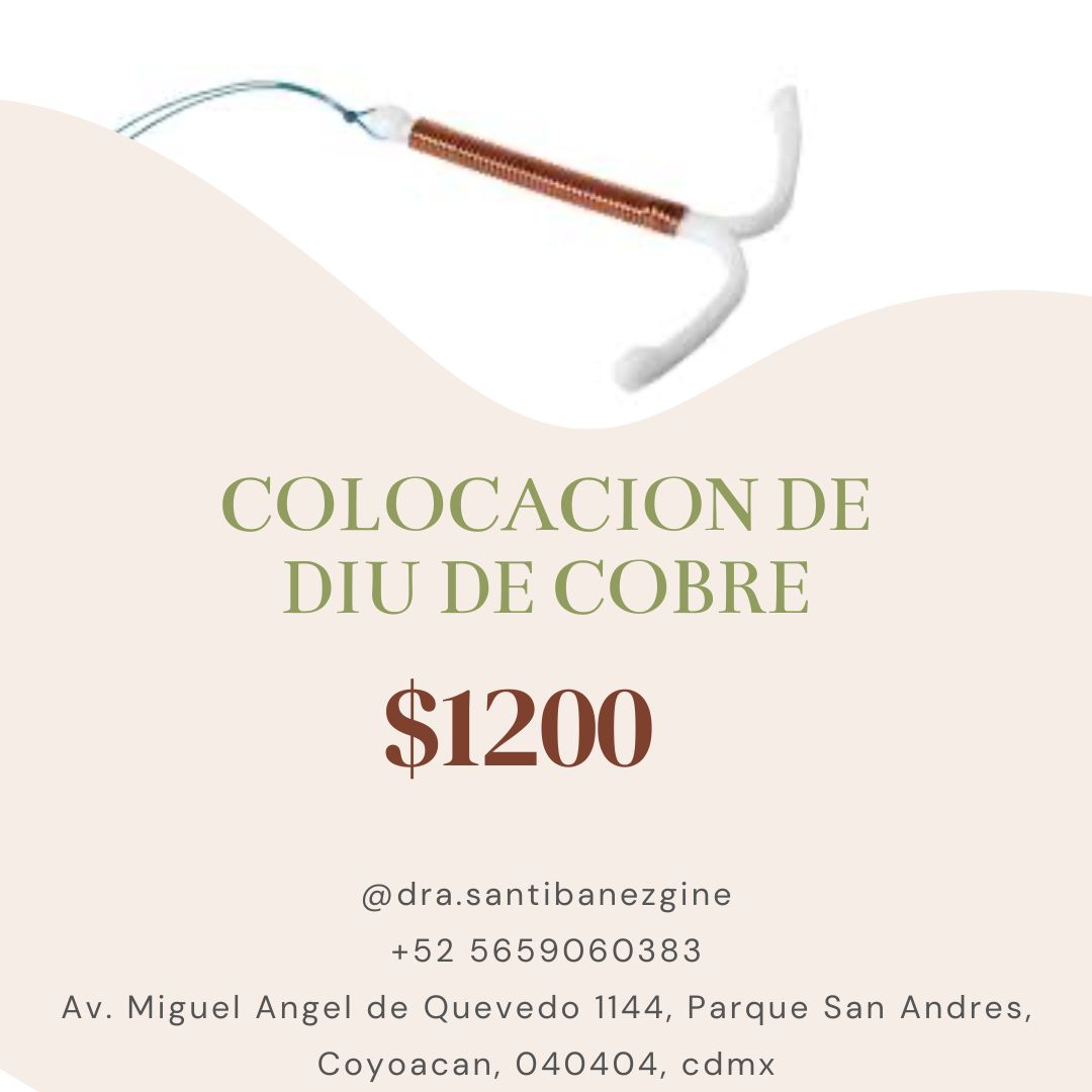 Mayra Santibañez Alejos-0