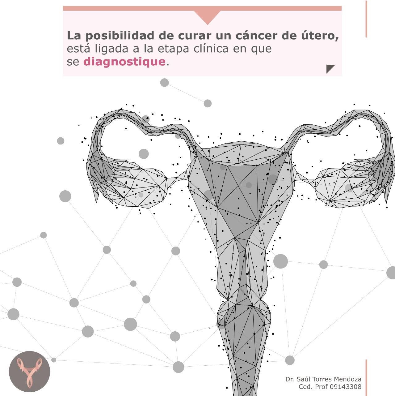 Rodolfo Saúl Torres Mendoza-11