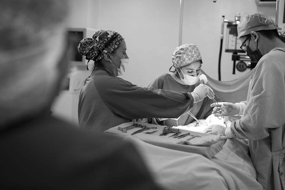 Dante Flores Hernández-2