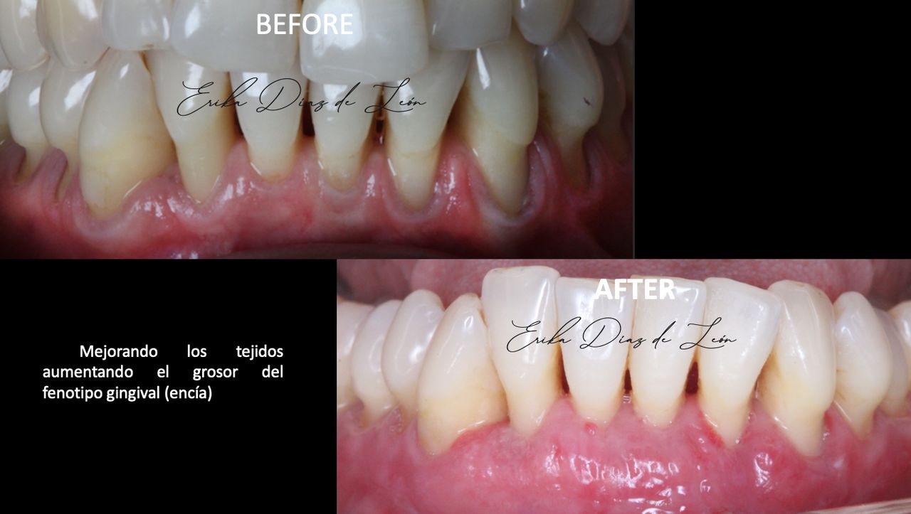 Erika Díaz De León Torres-9