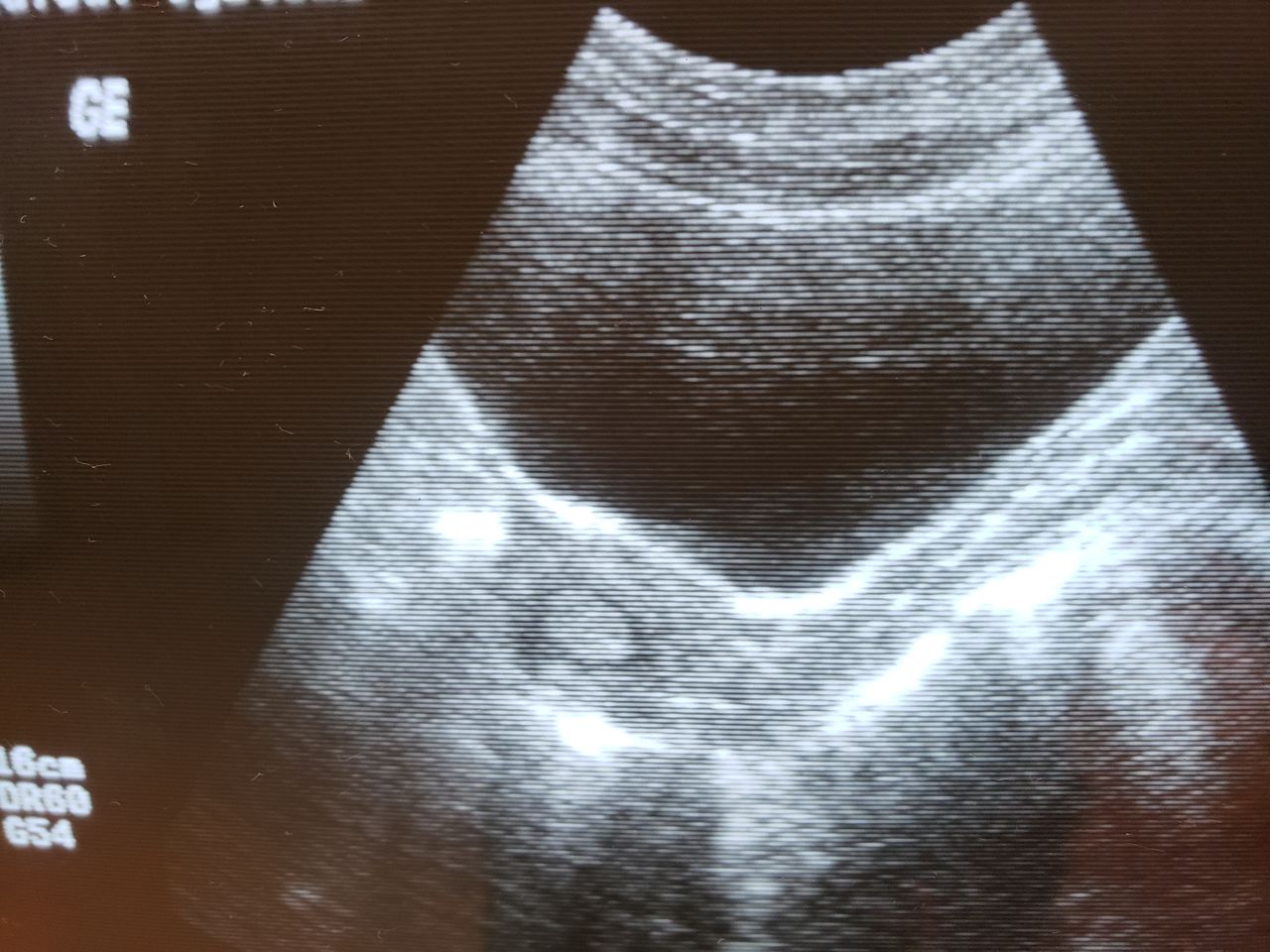 Germán Gabriel Palacios López-26