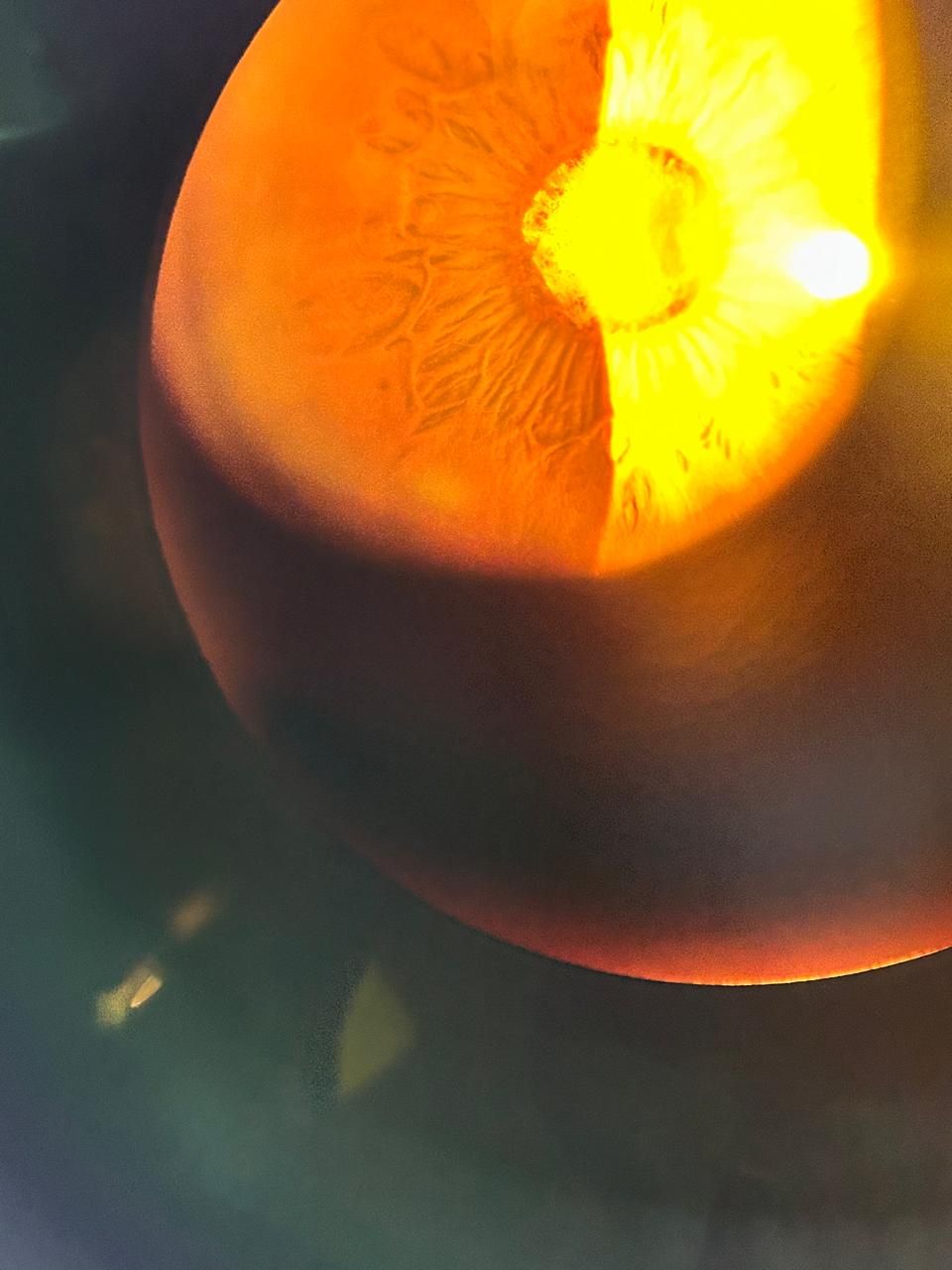 Daniel Martin Laguna Muñoz-42