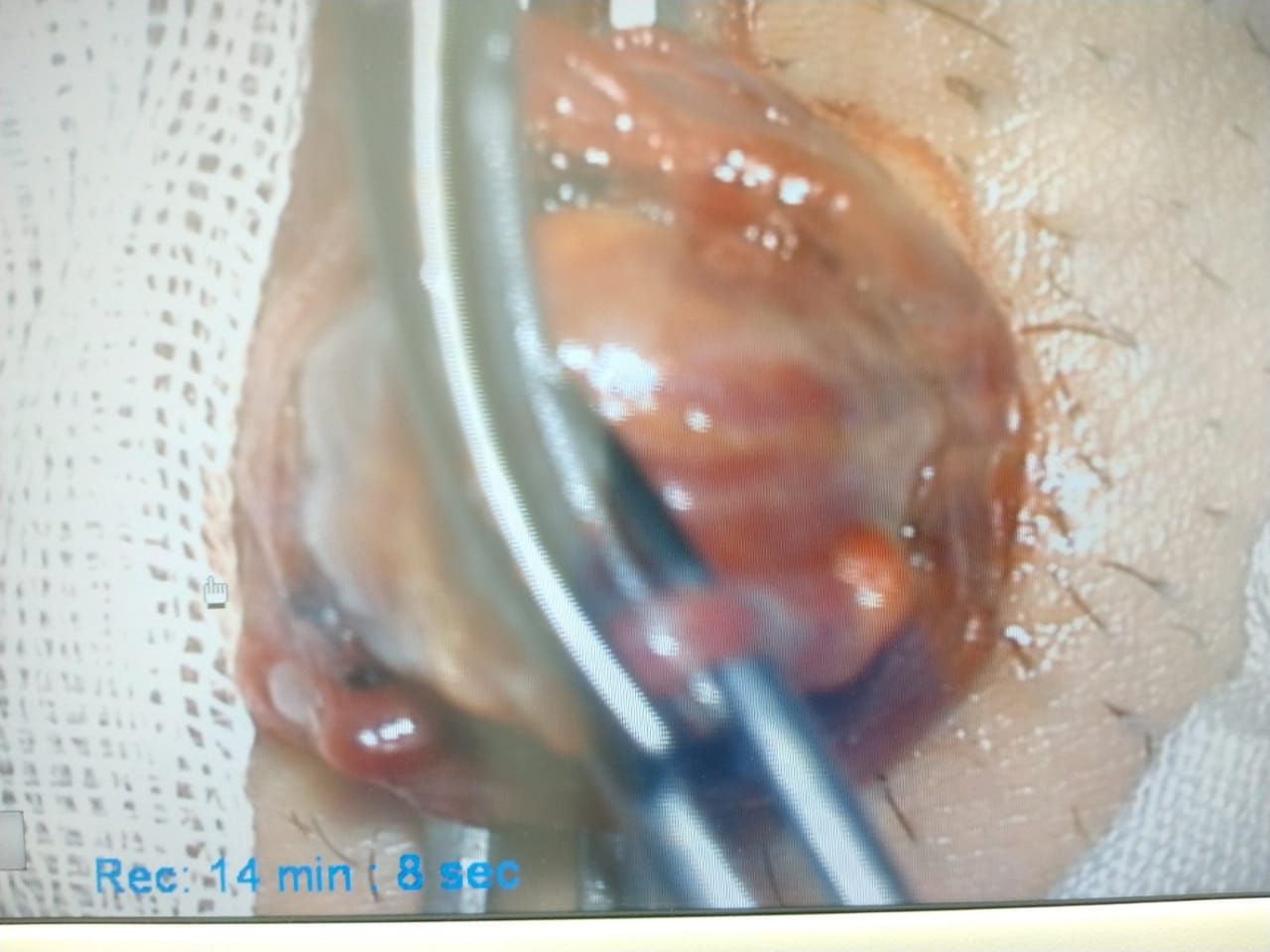 Enrique Hans Mues Guizar-6