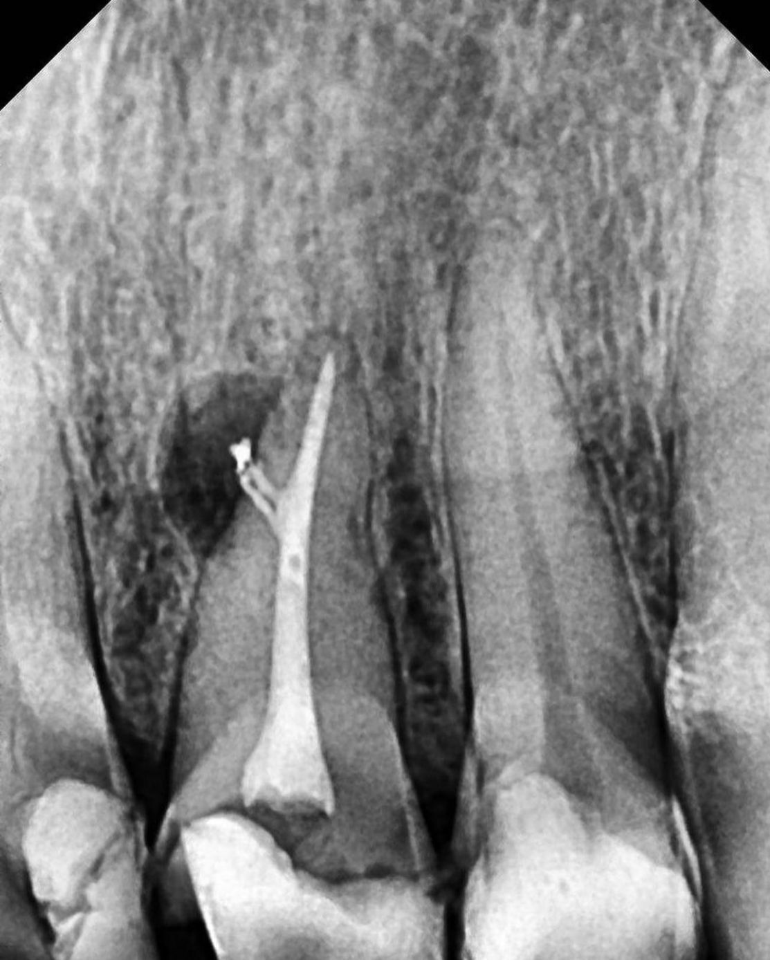 Edith Casandra Felix Rebollo-2