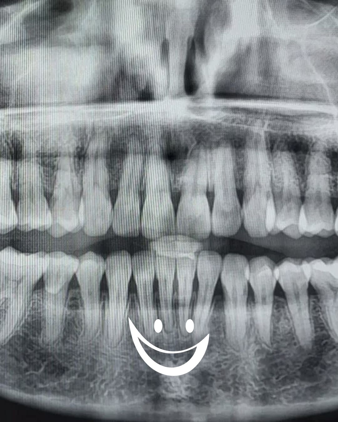 Diana De La Torre Priego-63