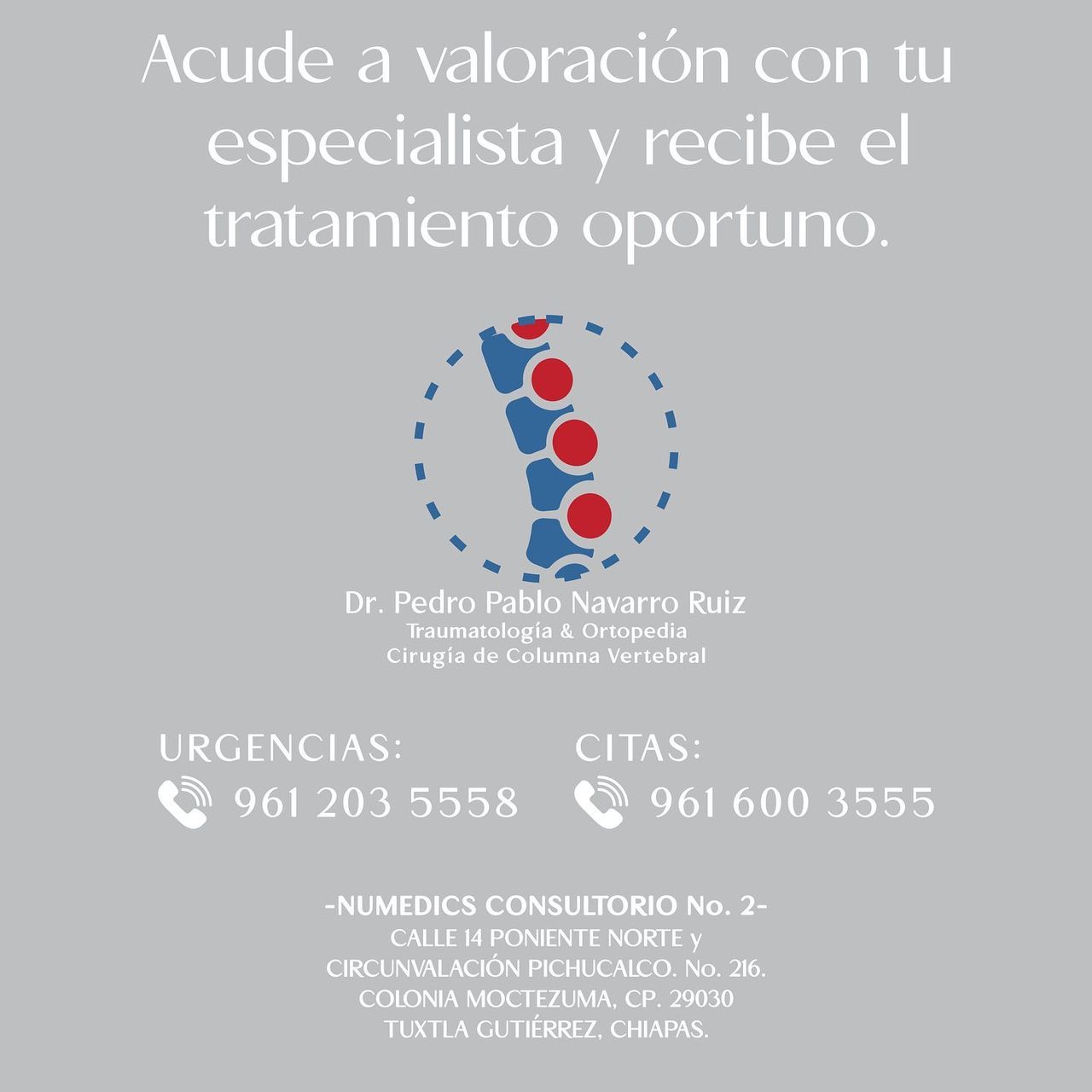 Pedro Pablo Navarro Ruiz-6