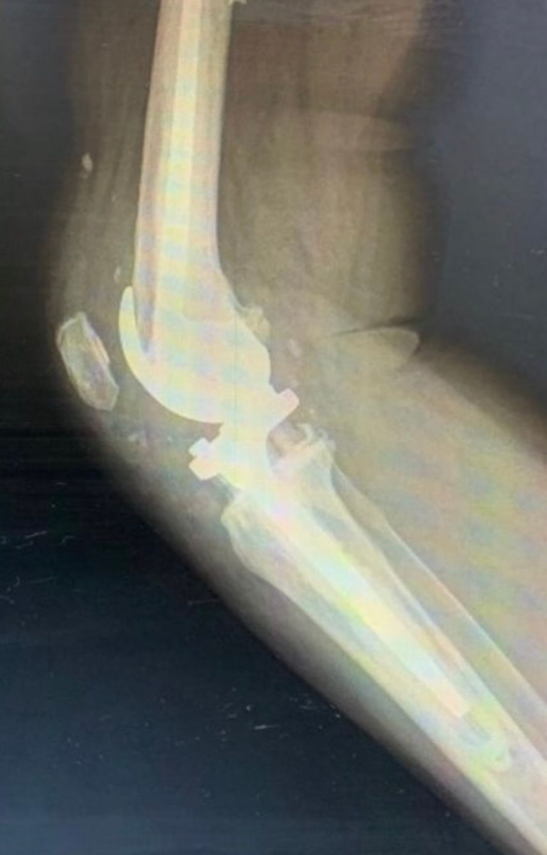 Alejandro Parés Rubí-1