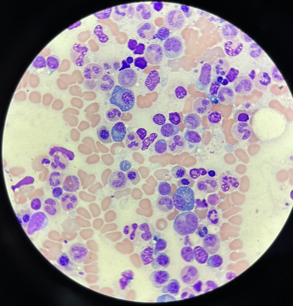 Karen Y. Flores Ordoñez-20