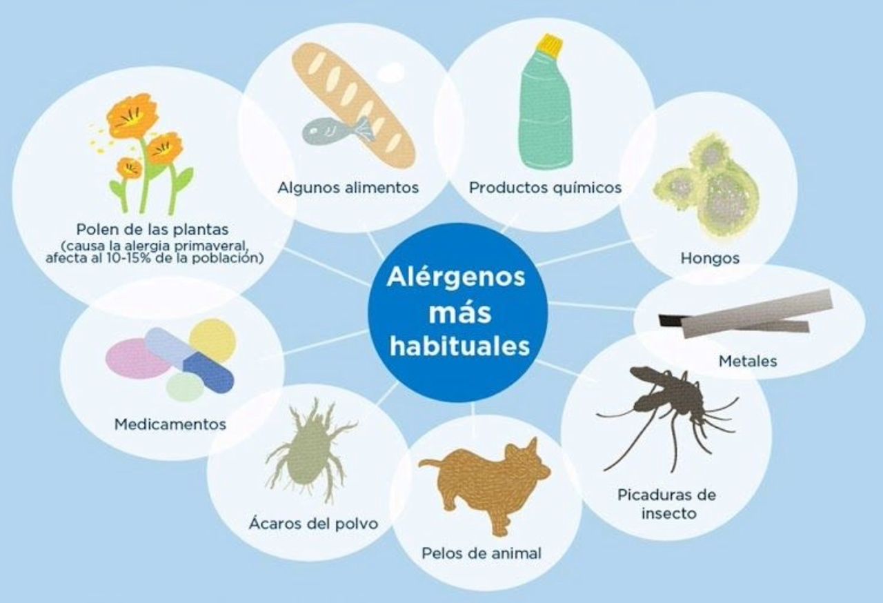 Javier Marquez Villanueva-4