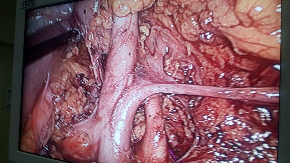 Juan Pablo Santos Uscanga-7