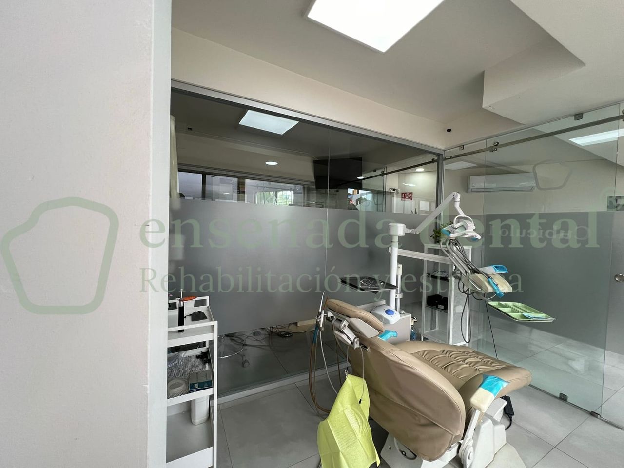 Claudia Valencia Macfarland-2