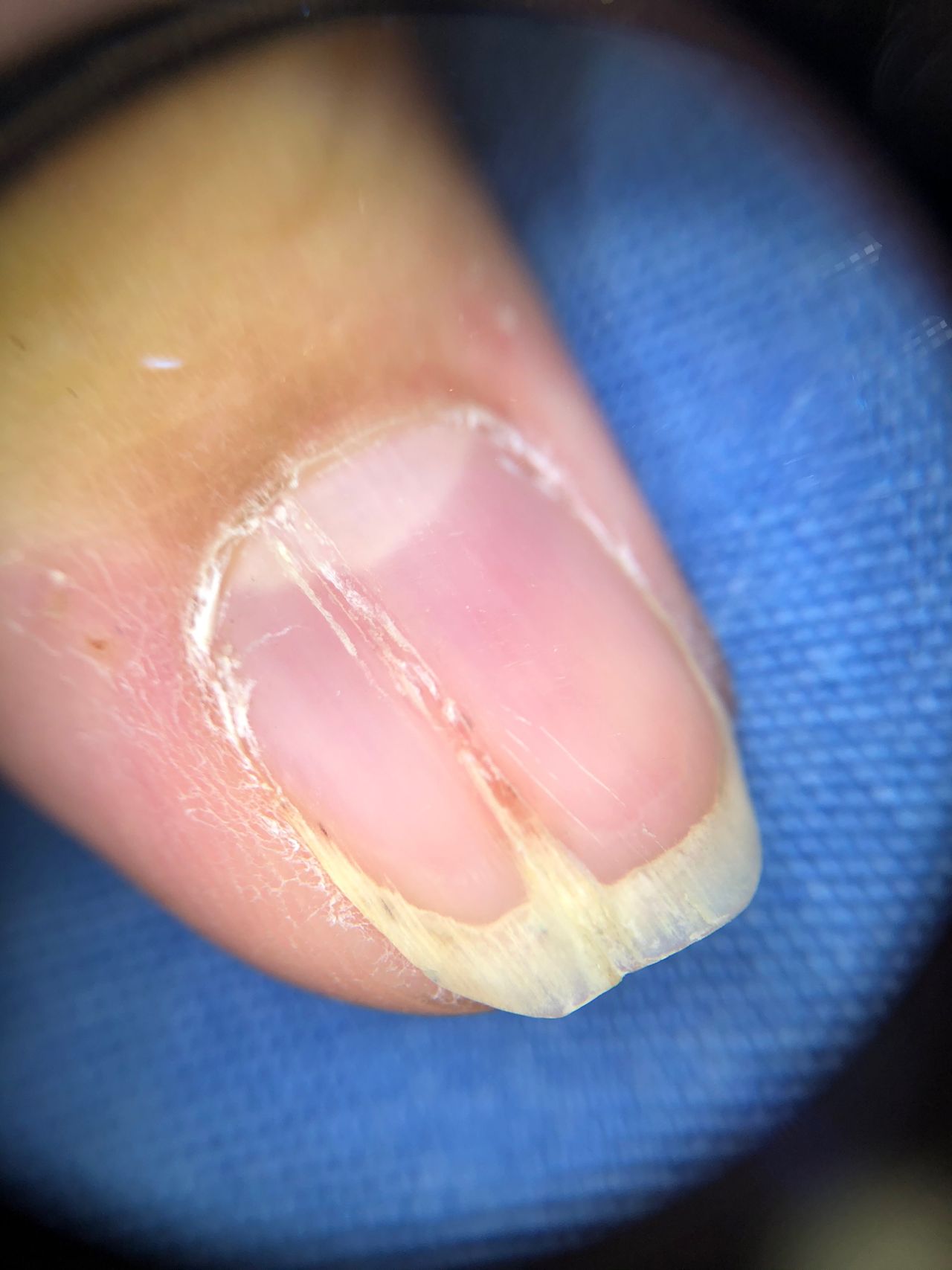 Hazel Rachelle Bracho Olvera-1