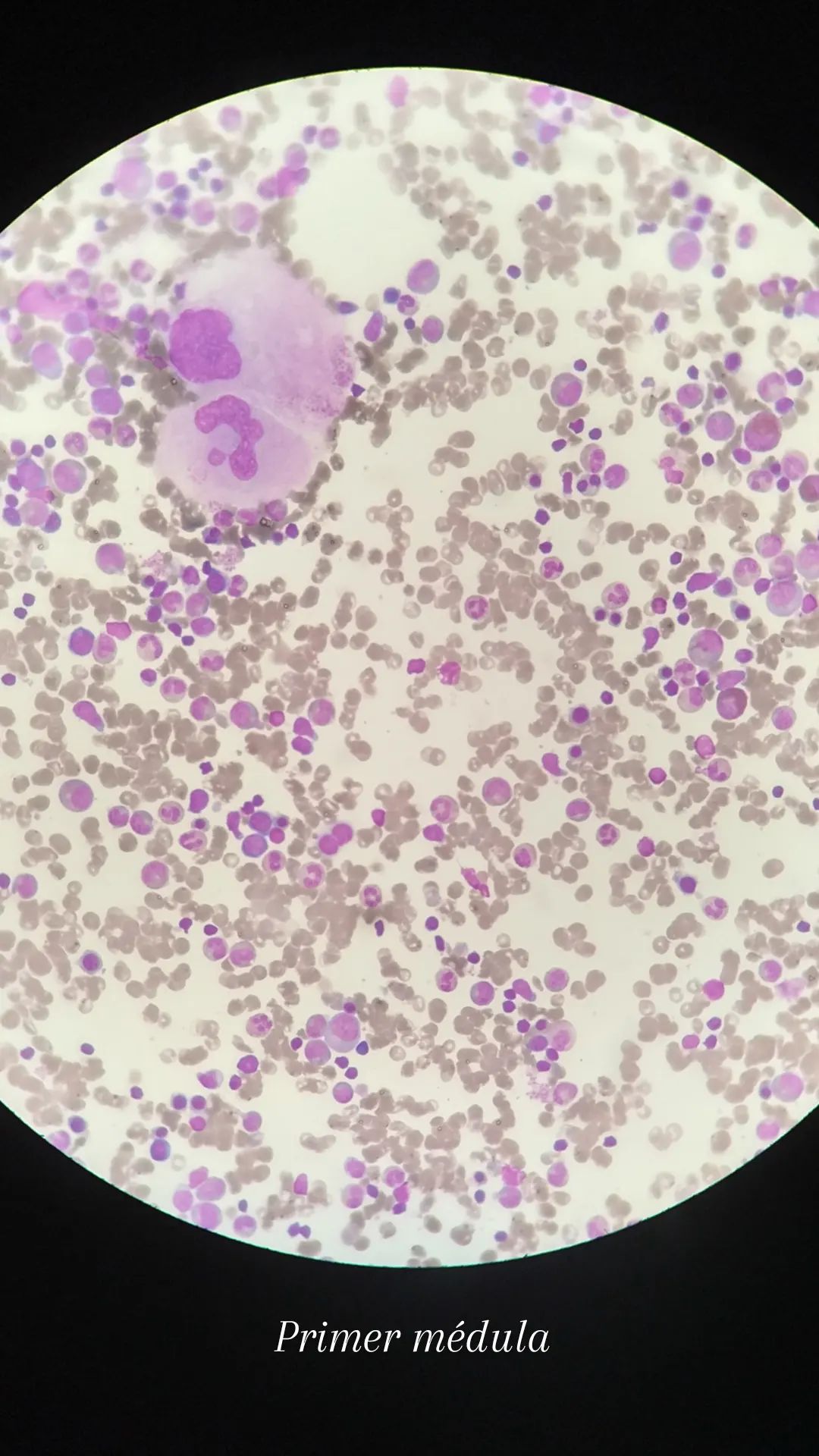 Gabriela Del Carmen Aguilar Tapia-6