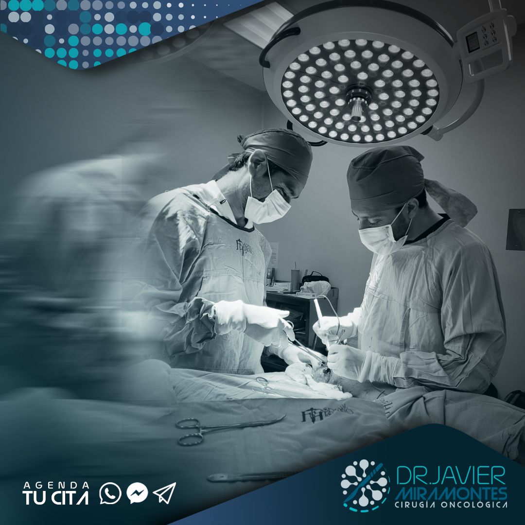 Javier Miramontes Mendez-5