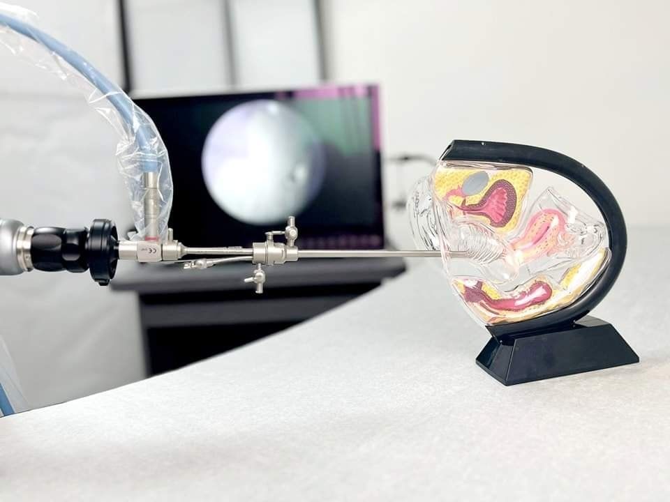 Dante Flores Hernández-23