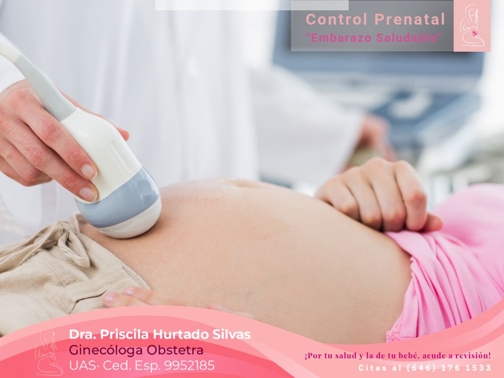 Priscila Hurtado Silvas-15