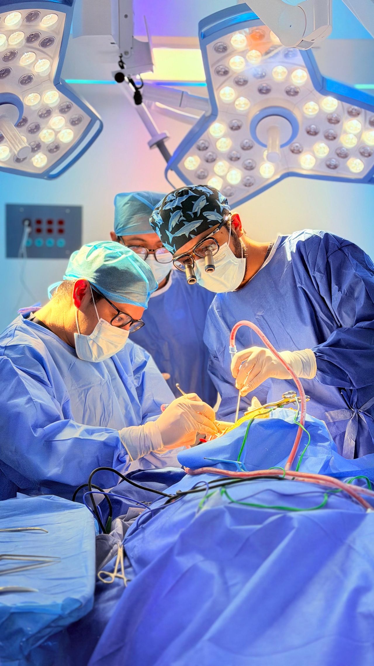 Jesús Eduardo Falcón Molina-1