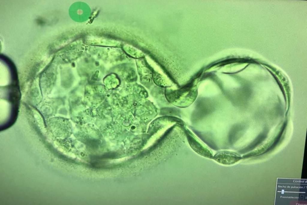 Eduardo Anguiano Franco-33