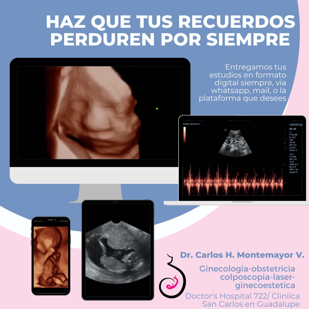 Carlos Humberto Montemayor Villalon-5