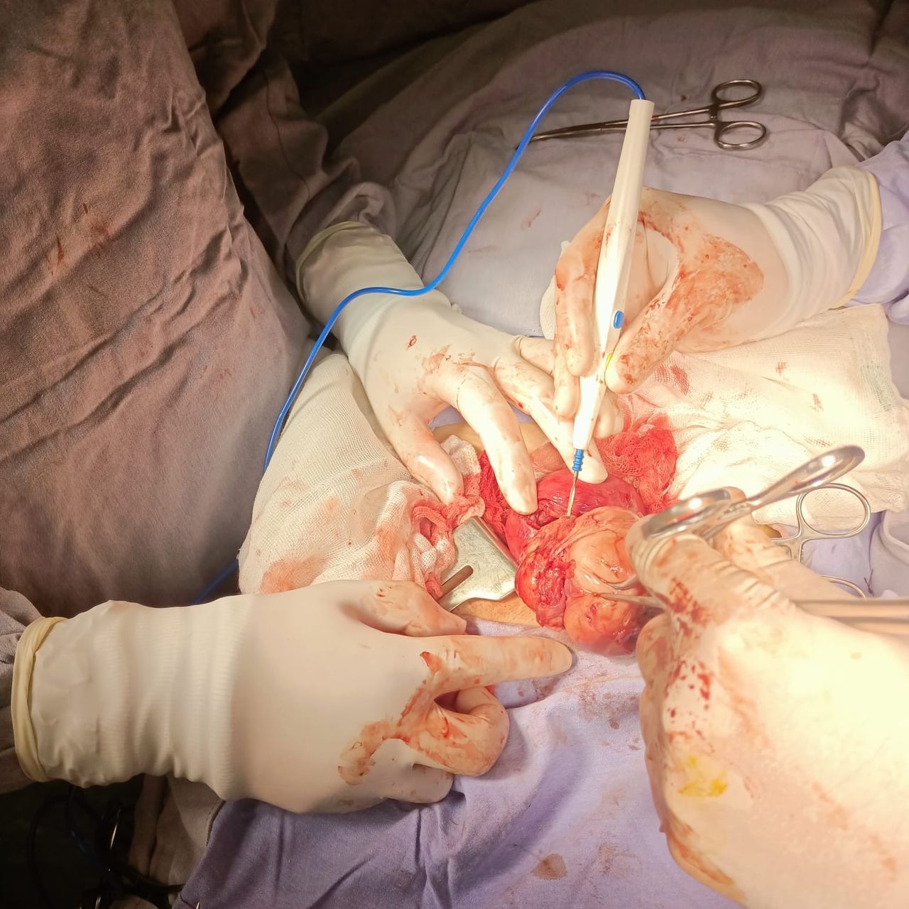 Juan Carlos Marin Mireles-24