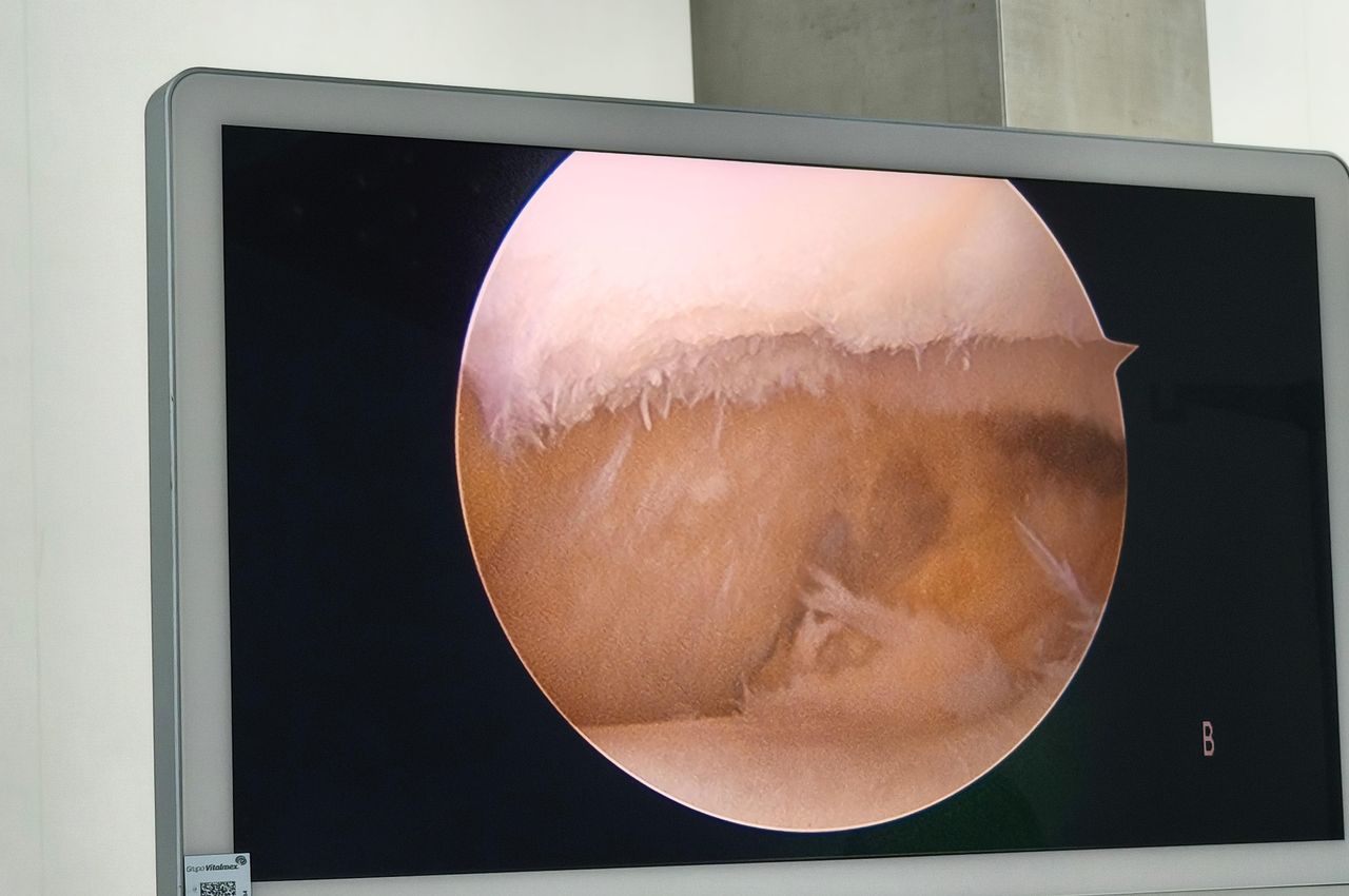 Viridiana Mena Villalobos-1