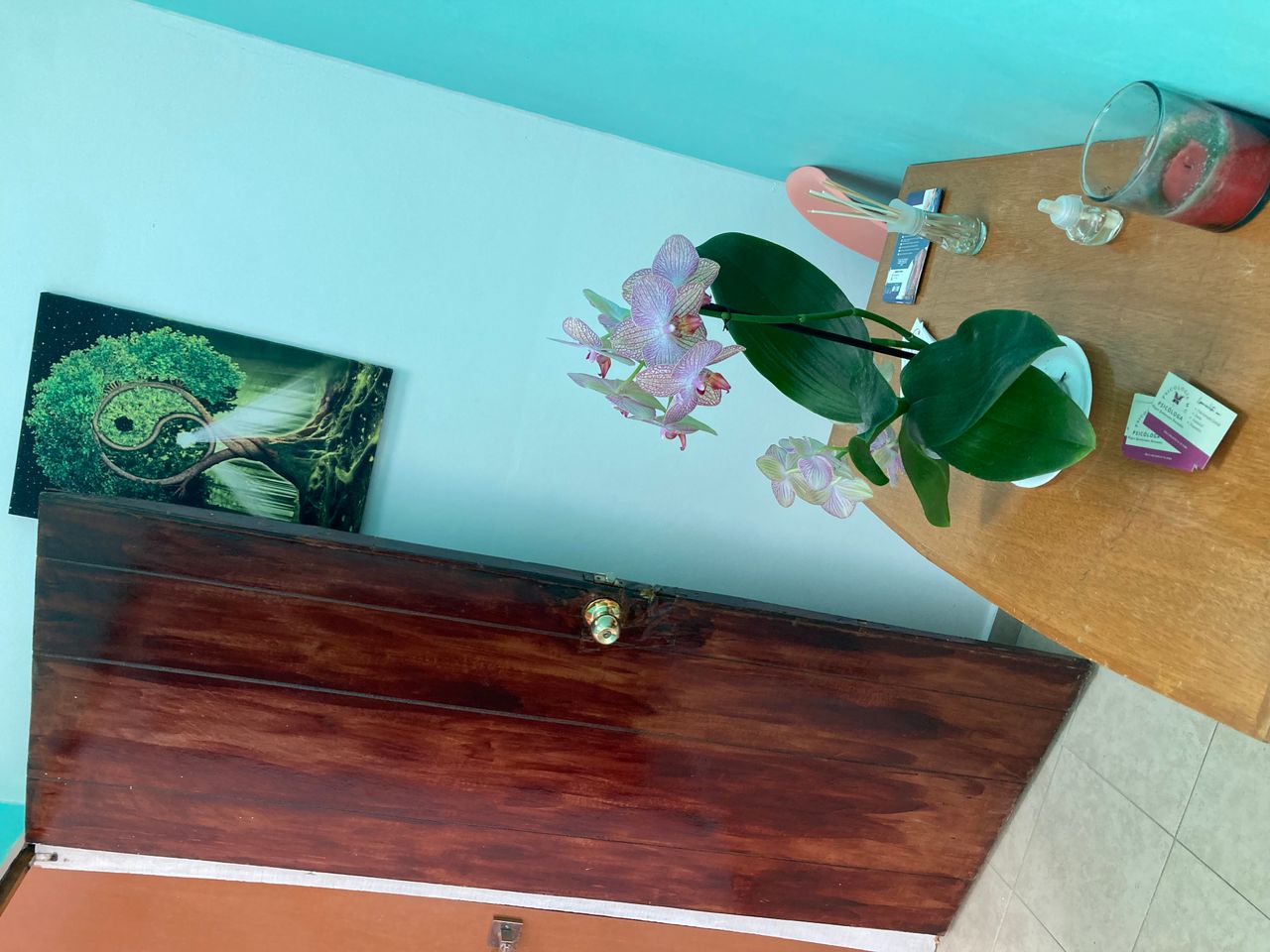 Mayra Guadarrama Hernandez-0