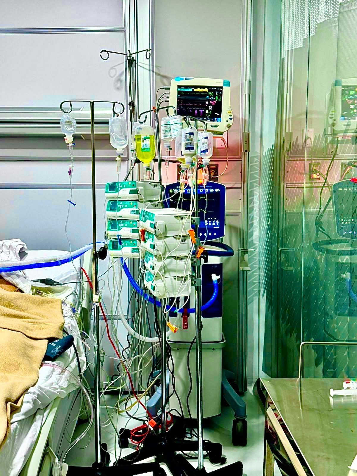 Celia Guadalupe López Gallegos-0