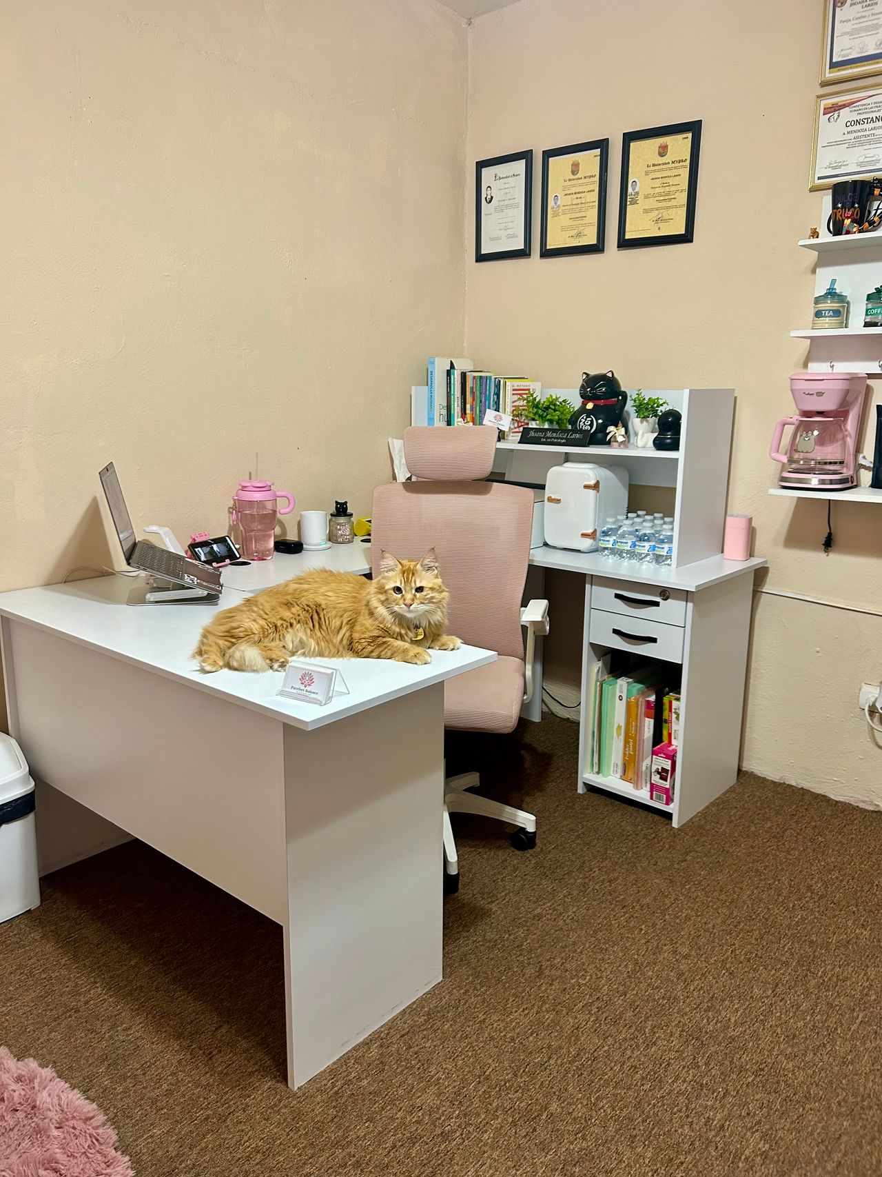 Jhoana Mendoza Larios-21