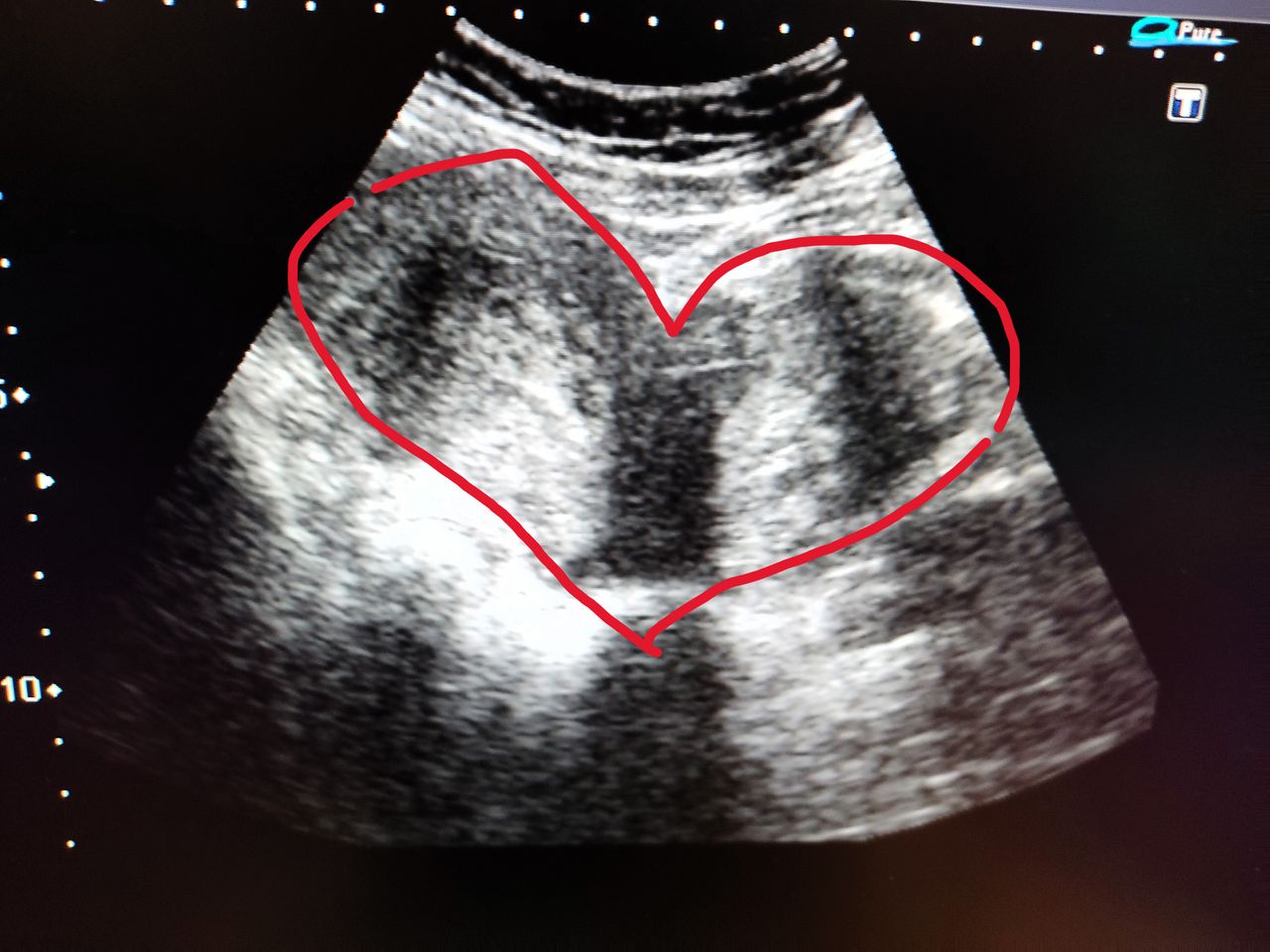 Jorge Alan Gómez Gallardo O'leary-17