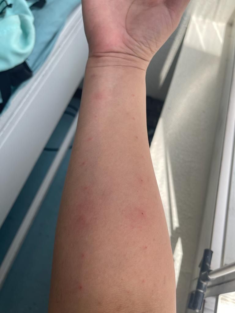 Areli López Pérez-5