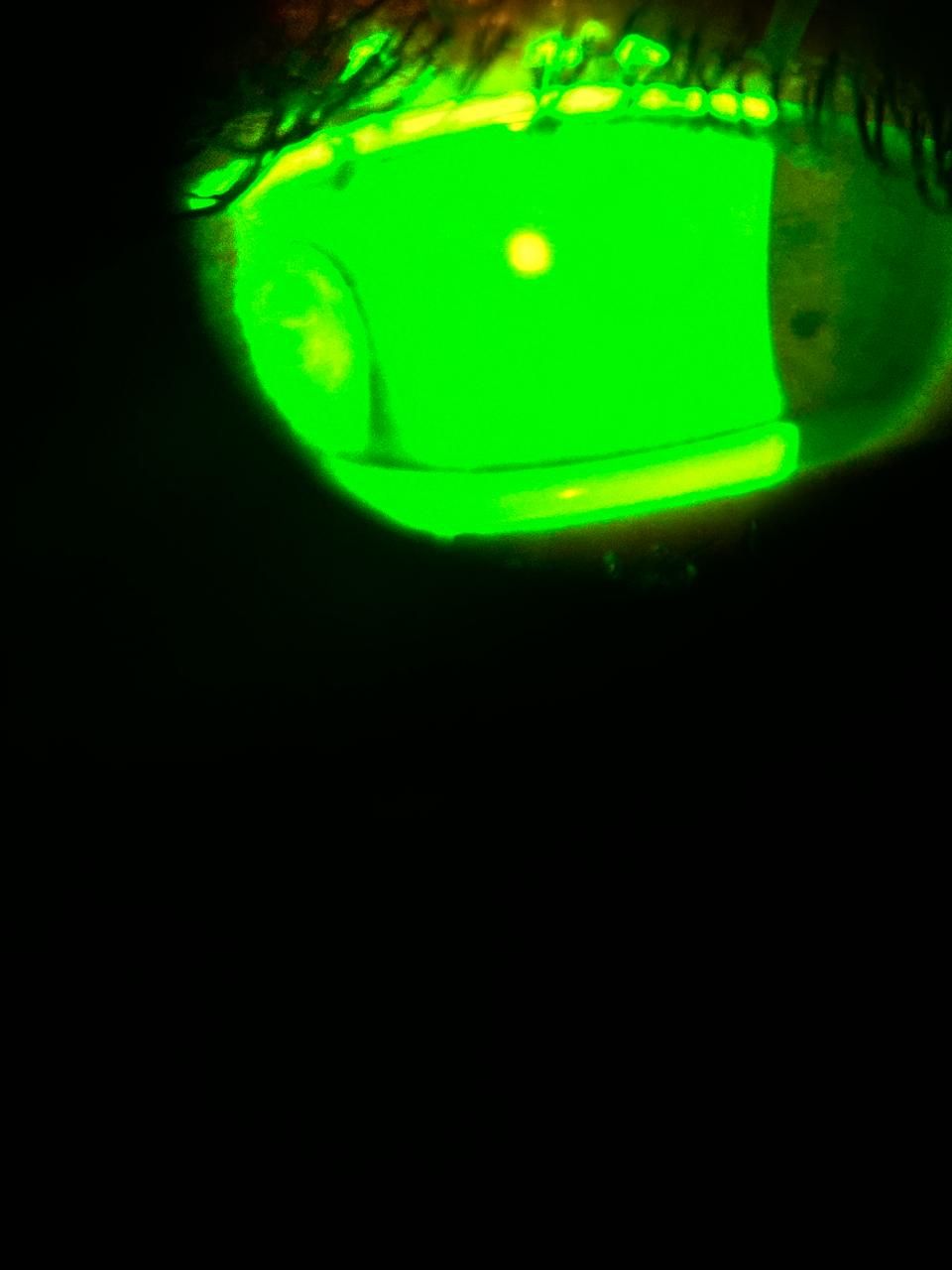 Daniel Martin Laguna Muñoz-23