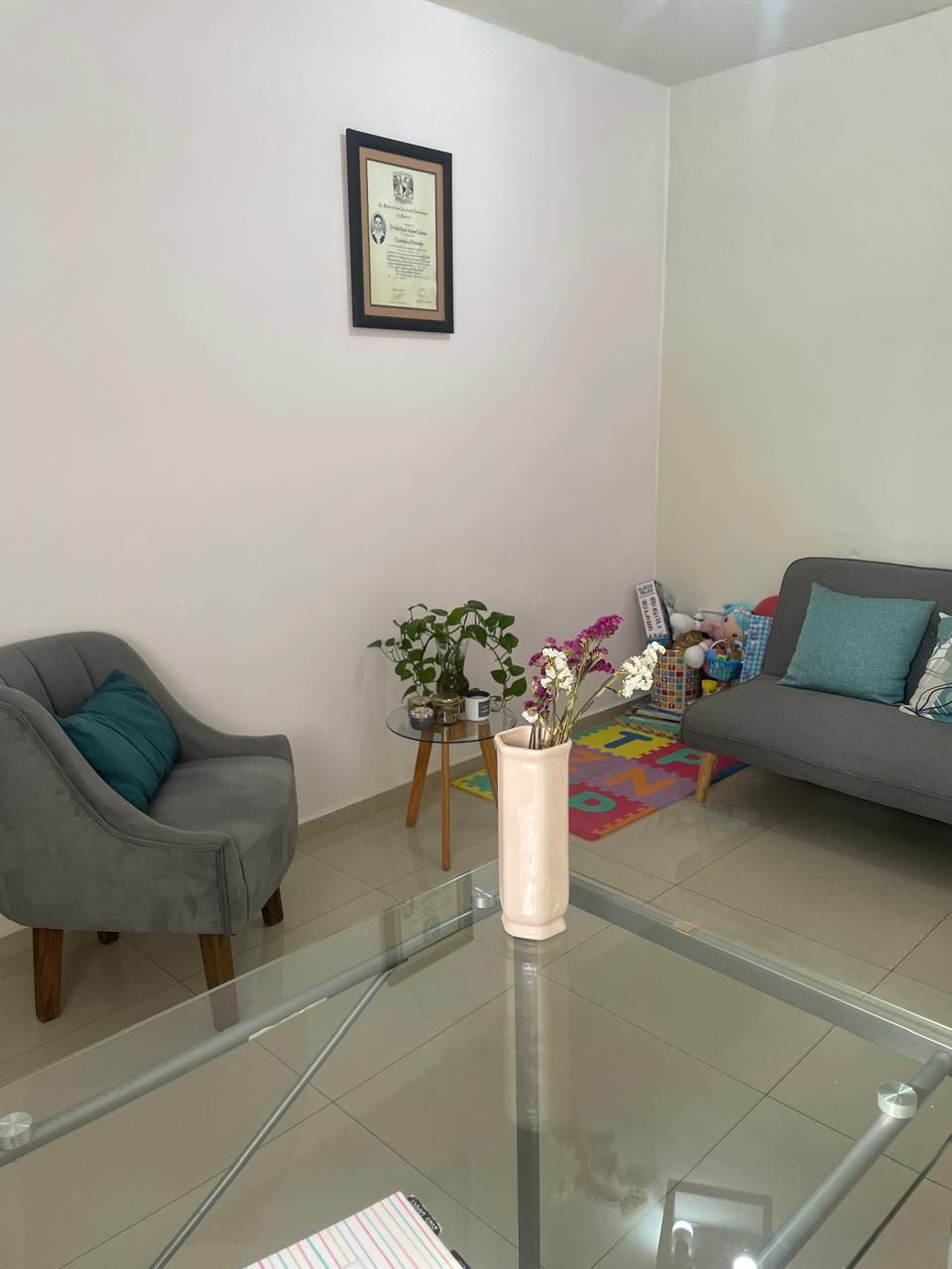 Briseida Yanet Santos Landeros-5