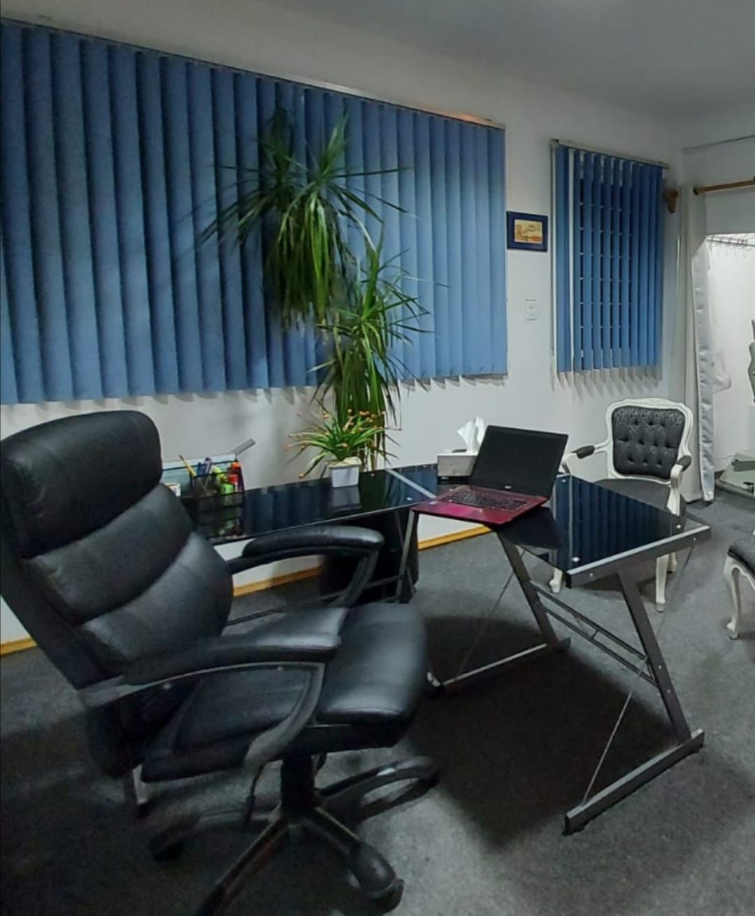 Alma Luisa Ruiz Velasco Toribio-3