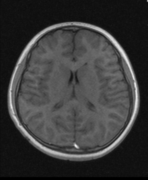 Adrian Estrada Campos-13