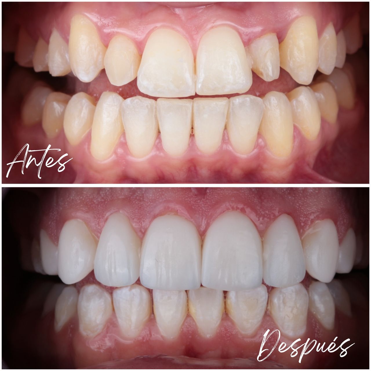 Daniel De Jesus Ramirez Vazquez-1