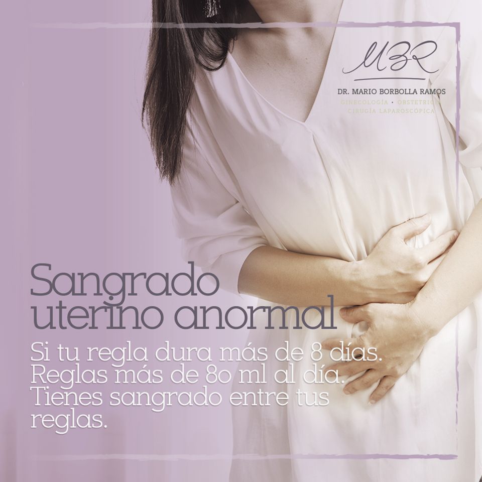 Mario Borbolla Ramos-1