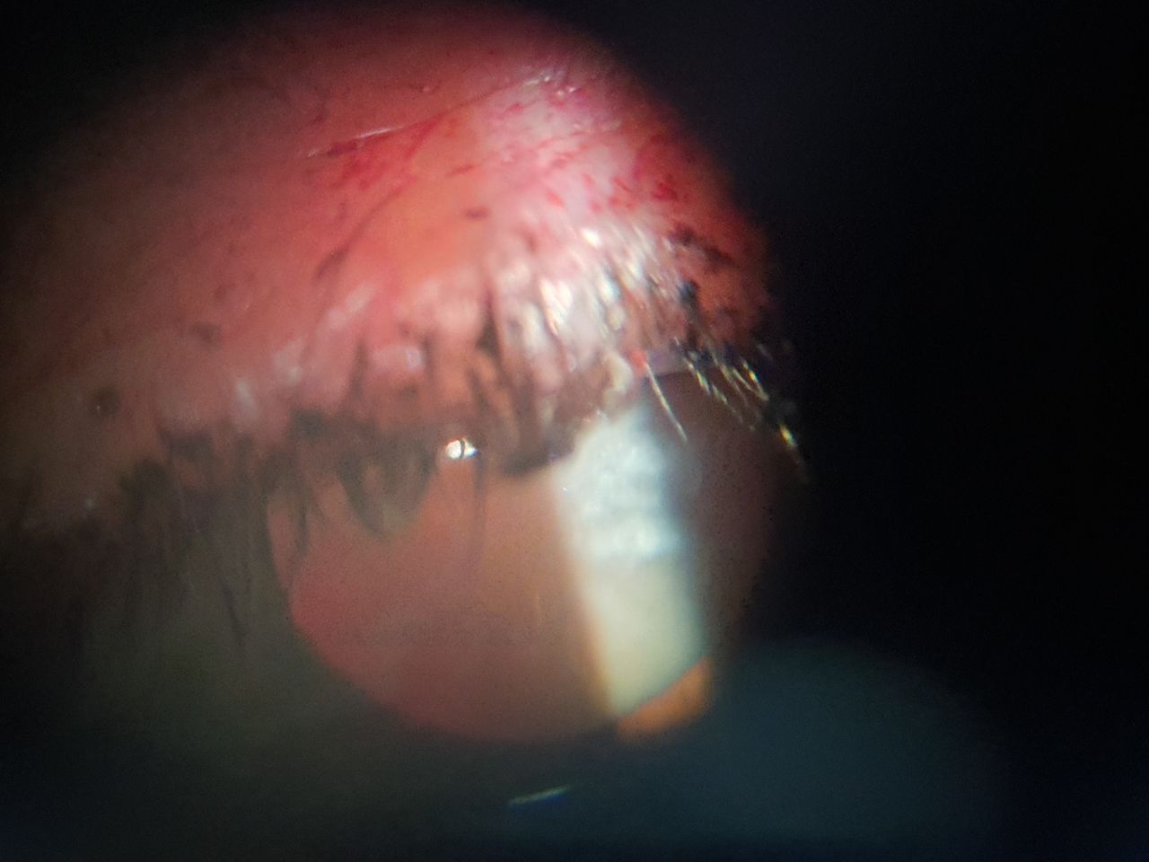 Brenda Sánchez Laguna-16