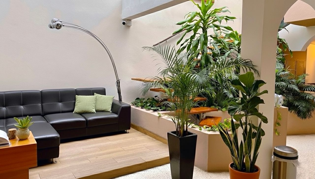 Isaac Palacios Contreras-2