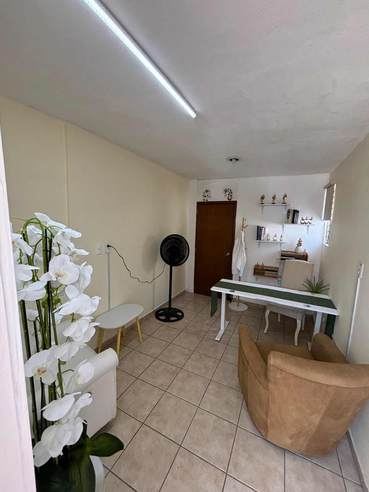 Liliana Gonzalez Perez-1