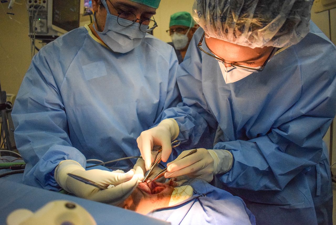 Estefanía Boyer Duck-6