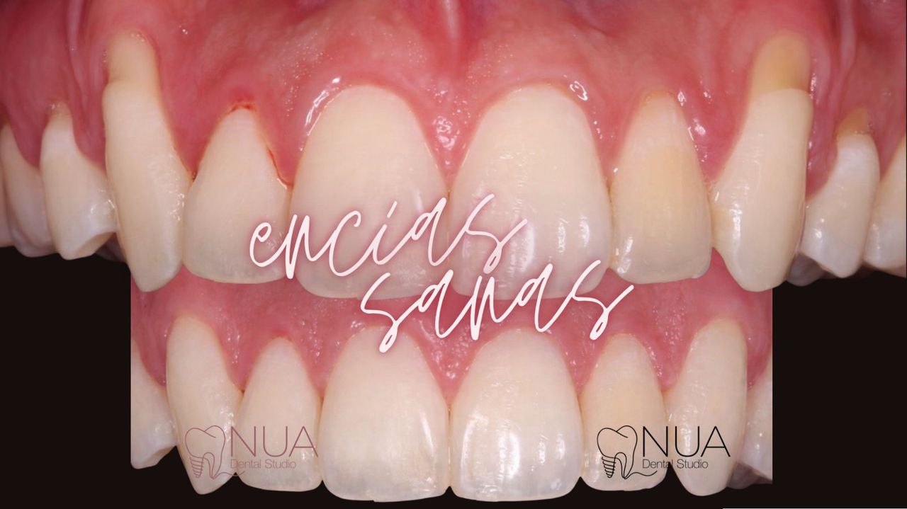 Monica Gabriela Magaña Pérez-20