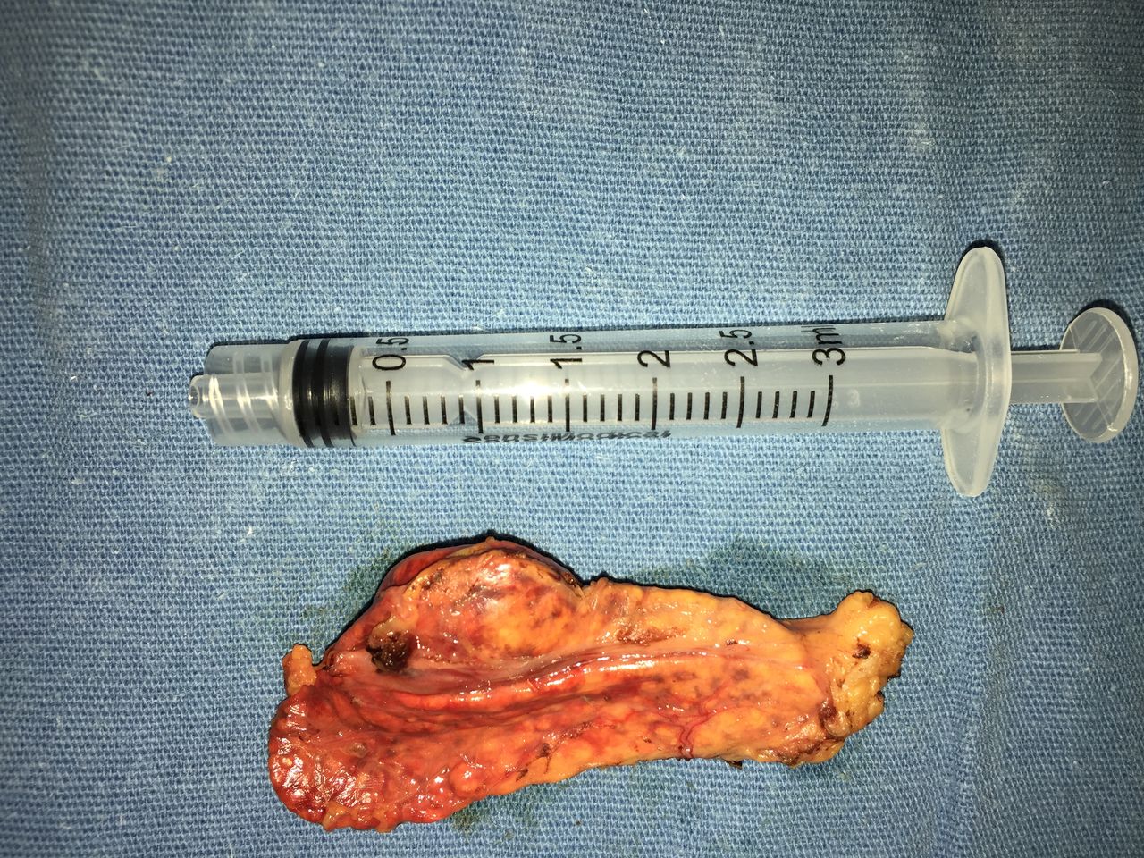 Juan Pablo Santos Uscanga-11