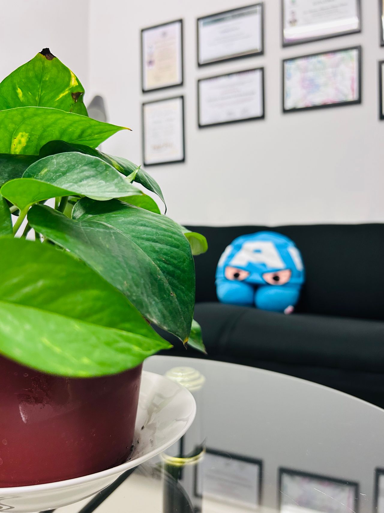 Christian Alejandro Estrada-0