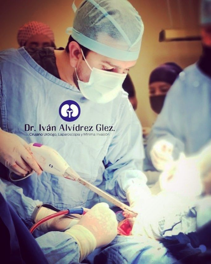 Iván J. Alvídrez González-1